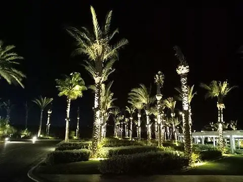 تصميمات خارجية وديكورات لاندسكيب