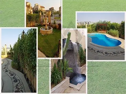 دي سي إس مصر