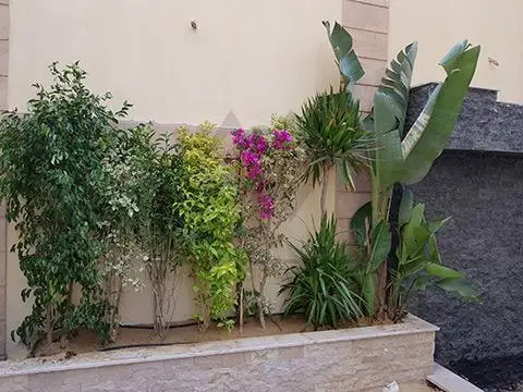اسعار تصميم وتنفيذ لاند سكيب